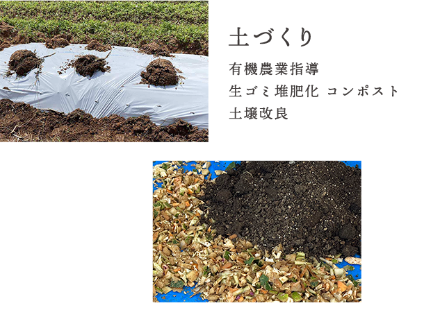 土づくり
有機農業指導
生ゴミ堆肥化 コンポスト
土壌改良